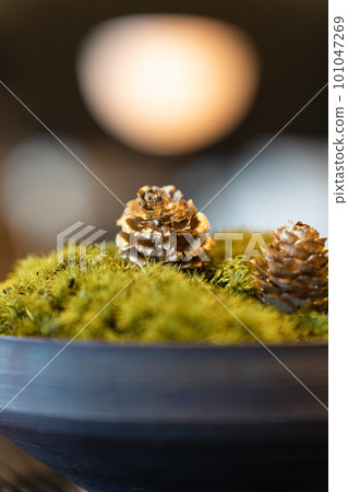 fancy pinecone fancy pinecone 101047269