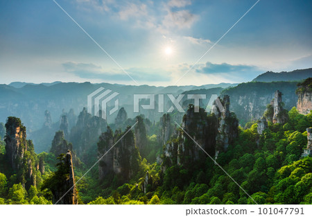 Zhangjiajie National forest park at sunset, Wulingyuan, Hunan, China Zhangjiajie National forest park at sunset, Wulingyuan, Hunan, China 101047791