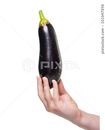 eggplant vegetable in hand isolated on white background. organic food eggplant vegetable in hand isolated on white background. organic food 101047856
