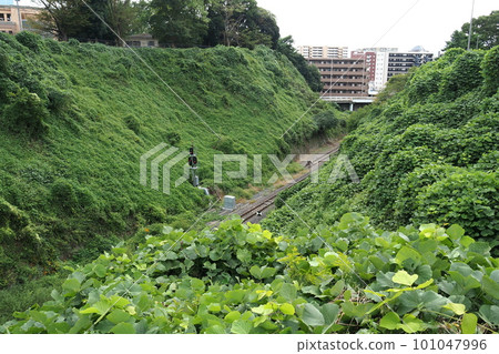 Large Horikiri between Ninomaru and Honmaru of Mito Castle Ruins [Mito City, Ibaraki Prefecture] 101047996