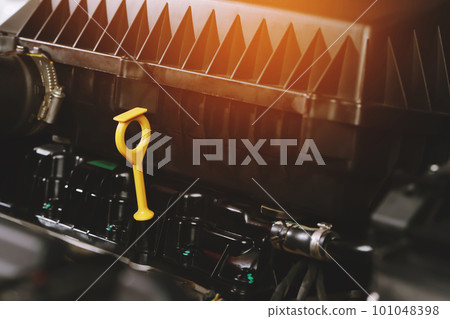The mechanic is checking the engine oil. 101048398