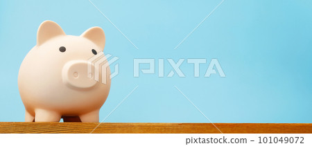 white piggy bank for saving money 101049072