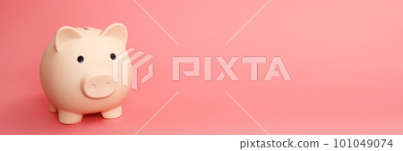 white piggy bank for saving money 101049074