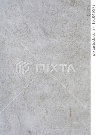 London plane 101049572