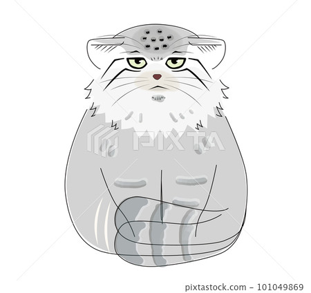 Illustration of a front-facing manul cat protesting by waggling its tail 101049869
