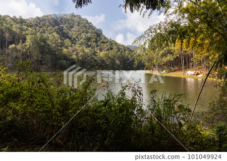 Pang Ung is a tourist attraction in Mae Hong Son, Northern Thailand with scenic alpine lake and pine trees. Tourist can rent a tent to camp and enjoy the environment. 101049924