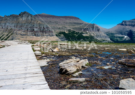 Snow melt water pooled along path to Logan Pass in Glacier National Park, Montana, USA.  101050595