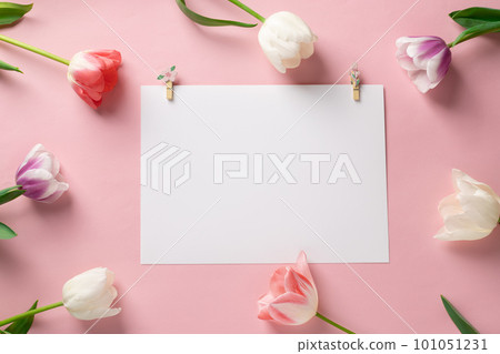 template with blank white paper with colorful flowers on a pink background 101051231
