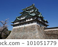 Castle tower and cherry blossoms looking up at Nagoya Castle Castle tower and cherry blossoms looking up at Nagoya Castle 101051779