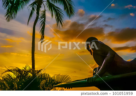 Sunset, palm trees and surfers Sunset, palm trees and surfers 101051959