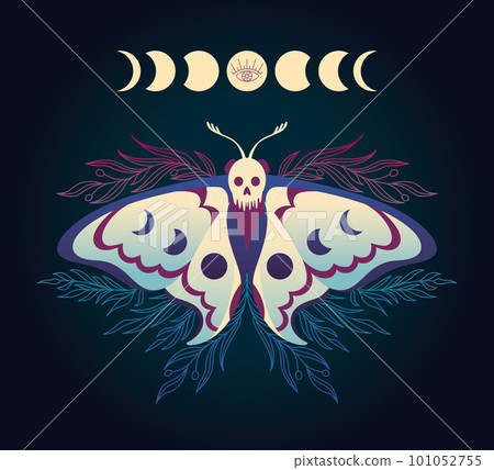 Illustration with hawk moth with phases of the moon 101052755