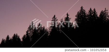 Outlines of tree tops at sunset. Colorful sky. 101052858