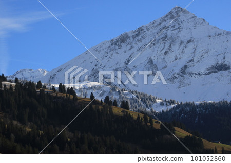 Snow covered Mount Spitzhorn and green hill. 101052860