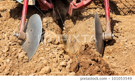 Farmer plants new vines in the vineyard with the tractor. Agriculture. Farmer plants new vines in the vineyard with the tractor. Agriculture. 101053549