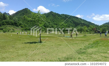 有草坪的公園 101054072
