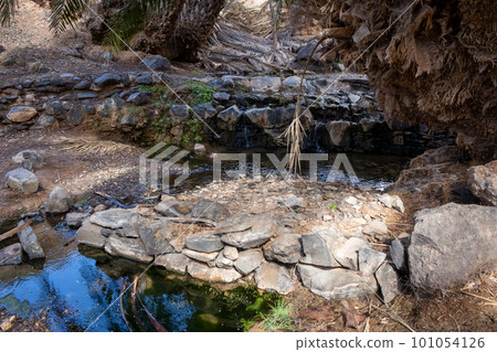 River in an oasis, Fuerteventura, Spain 101054126