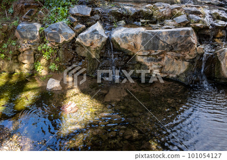 River in an oasis, Fuerteventura, Spain 101054127