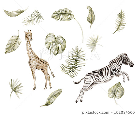 Watercolor hand drawn  illustration ofrom the jungle animals and a palm tree branchon a white background. Perfect for nursery poster decoration, stickers . invitation, greetings card, party decor.   101054500