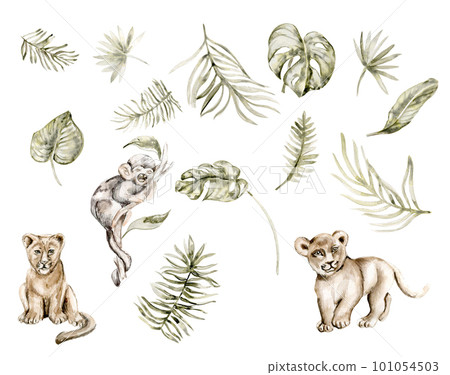 Watercolor hand drawn  illustration ofrom the jungle animals and a palm tree branchon a white background. Perfect for nursery poster decoration, stickers . invitation, greetings card, party decor.   101054503