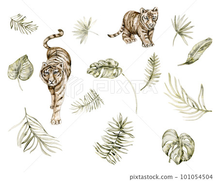 Watercolor hand drawn  illustration ofrom the jungle animals and a palm tree branchon a white background. Perfect for nursery poster decoration, stickers . invitation, greetings card, party decor.   101054504