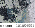 Texture of old paint on concrete wall, color 101054551