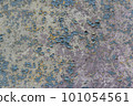 Texture of old paint on concrete wall, color 101054561