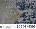 Texture of old paint on concrete wall, color 101054566