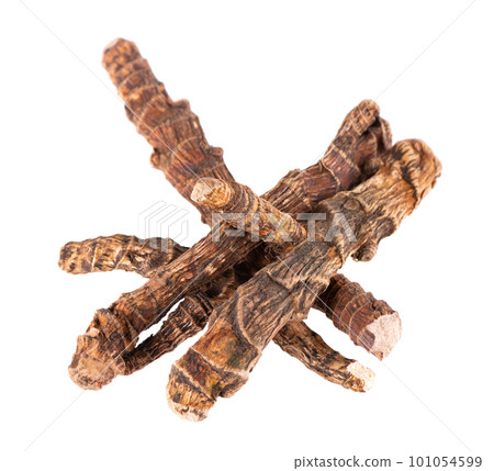 Calamus root isolated on white background. Sweet flag, sway or muskrat root, vasambu. Dry root of Acorus calamus. Calamus root isolated on white background. Sweet flag, sway or muskrat root, vasambu. Dry root of Acorus calamus. 101054599
