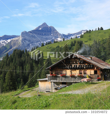 Summer scene In the Saanenland valley, Switzerland. Summer scene In the Saanenland valley, Switzerland. 101054872