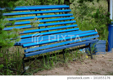 Blue wooden bench with metal legs standing in a park with overgrown green bushes and sand road a blue painted trash bin with garbage in and out Blue wooden bench with metal legs standing in a park with overgrown green bushes and sand road a blue painted trash bin with garbage in and out 101055176