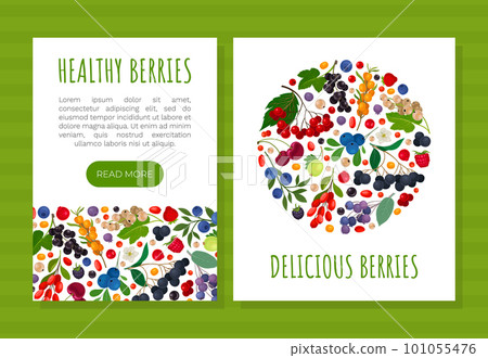 Berry Branch Banner Design with Sweet Tasty Garden Crop Vector Template Berry Branch Banner Design with Sweet Tasty Garden Crop Vector Template 101055476