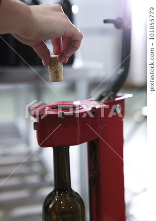 Wine production. The wine bottle is corked. Natural cork. A small craft winery. The concept of small wine production. Wine of the new harvest. 101055779