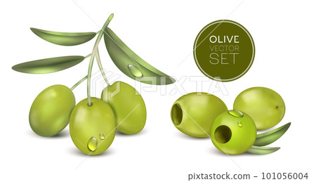 Realistic Olive Vector Set 101056004
