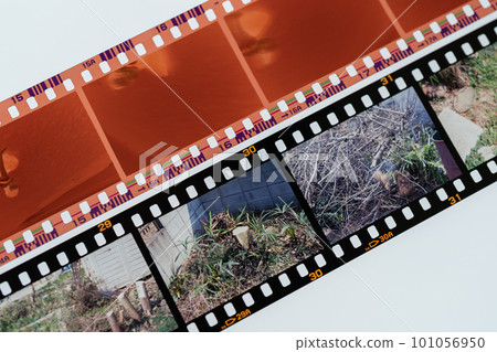 35mm color negative and color positive 101056950