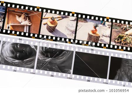 35mm monochrome negative and color positive 101056954