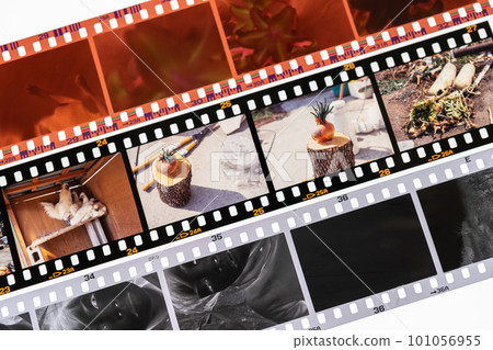 Types of 35mm Film 101056955