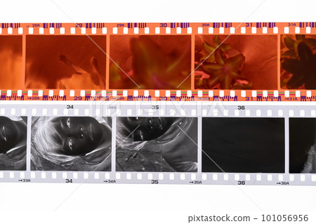 Monochrome and color negatives Monochrome and color negatives 101056956