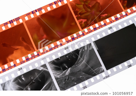 單色負片與彩色負片 101056957
