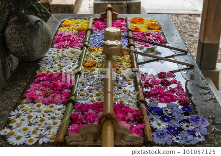 Wagokoro Hospitality with flower chozubachi Wagokoro Hospitality with flower chozubachi 101057125