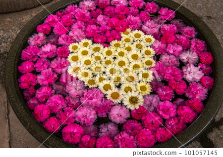 Wagokoro Hospitality with flower chozubachi 101057145