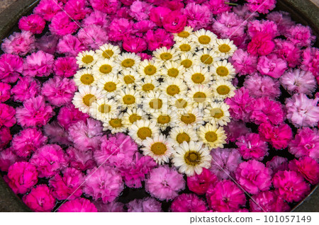 Wagokoro Hospitality with flower chozubachi Wagokoro Hospitality with flower chozubachi 101057149