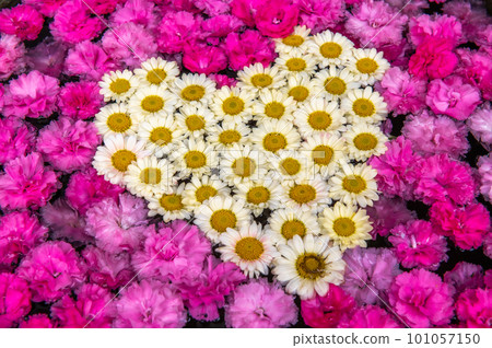 Wagokoro Hospitality with flower chozubachi 101057150