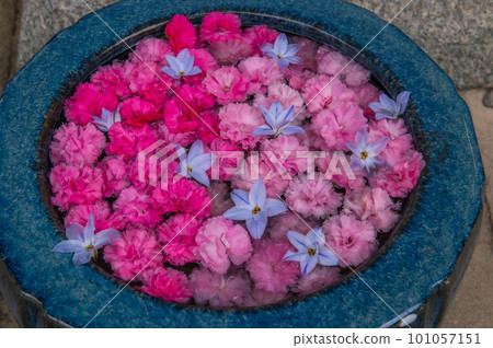 Wagokoro Hospitality with flower chozubachi 101057151