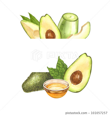 Watercolor frame, ripe avocado and oil in glass bowl, top view. Hand-drawn illustration isolated on white background. Perfect food menu, food drawing, design packing, healthy eating concept 101057257