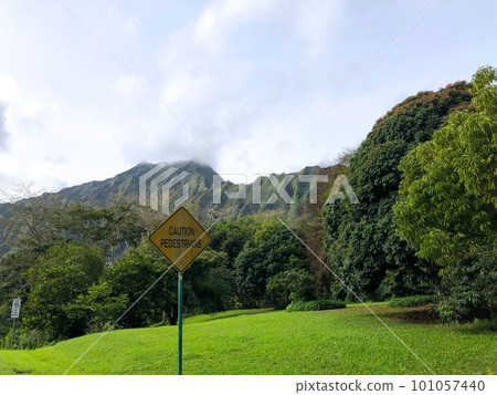 “夏威夷”Hoomaluhia 植物園 101057440