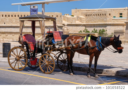 Horse cab - Valletta 101058522