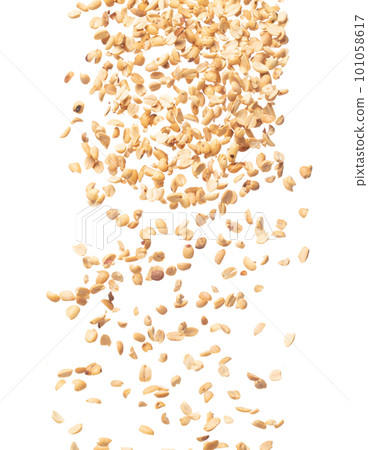 Roasted Peanut bean fall down in group, Roasted Peanut bean float explode, abstract cloud fly. Roasted Peanut beans splash throwing in Air. White background Isolated high speed shutter, freeze motion 101058617