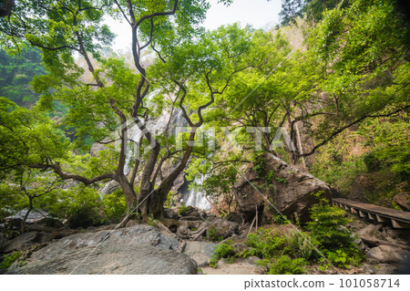 Khlong Lan Waterfall, Beautiful waterfalls in klong Lan national park of Thailand 101058714