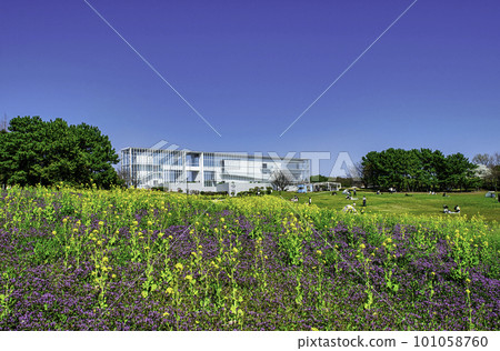 東京葛西臨海公園展望廣場 東京葛西臨海公園展望廣場 101058760