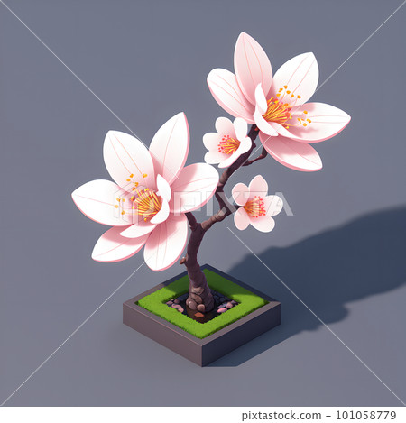 A small cute blossoming sakura bonsai tree, 3d... - Stock Illustration  [101058779] - PIXTA